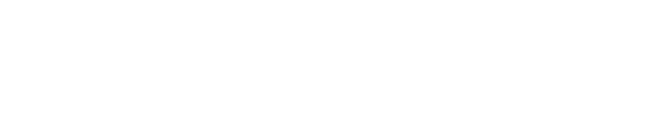 Toodoo Brand Logo